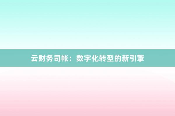云财务司帐：数字化转型的新引擎