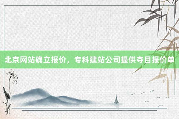 北京网站确立报价，专科建站公司提供夺目报价单